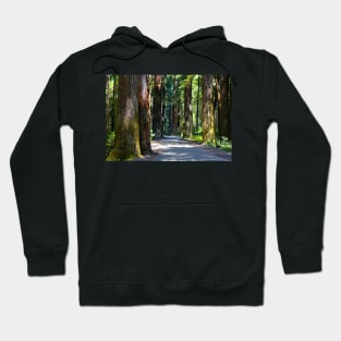 California Redwoods Hoodie